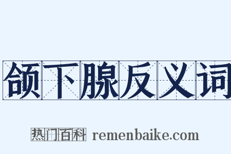颌下腺反义词是什么意思的图片